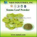 Pólvora natural y pura en polvo Senna en polvo y hoja de Senna Extracto de Senna Leaf